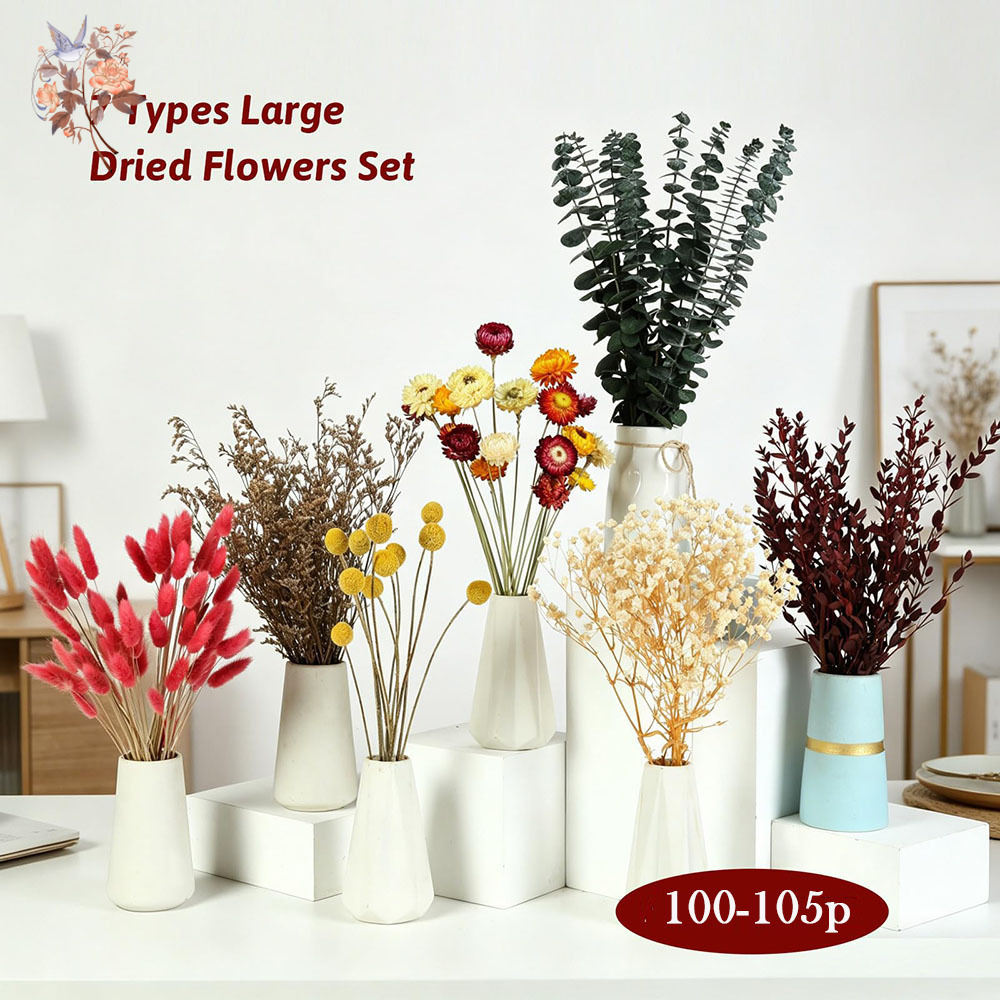 ชุดดอกไม้แห้งแบบขายส่ง 7 ชนิด  - Florist Supply Bulk บทวิจารณ์และราคา