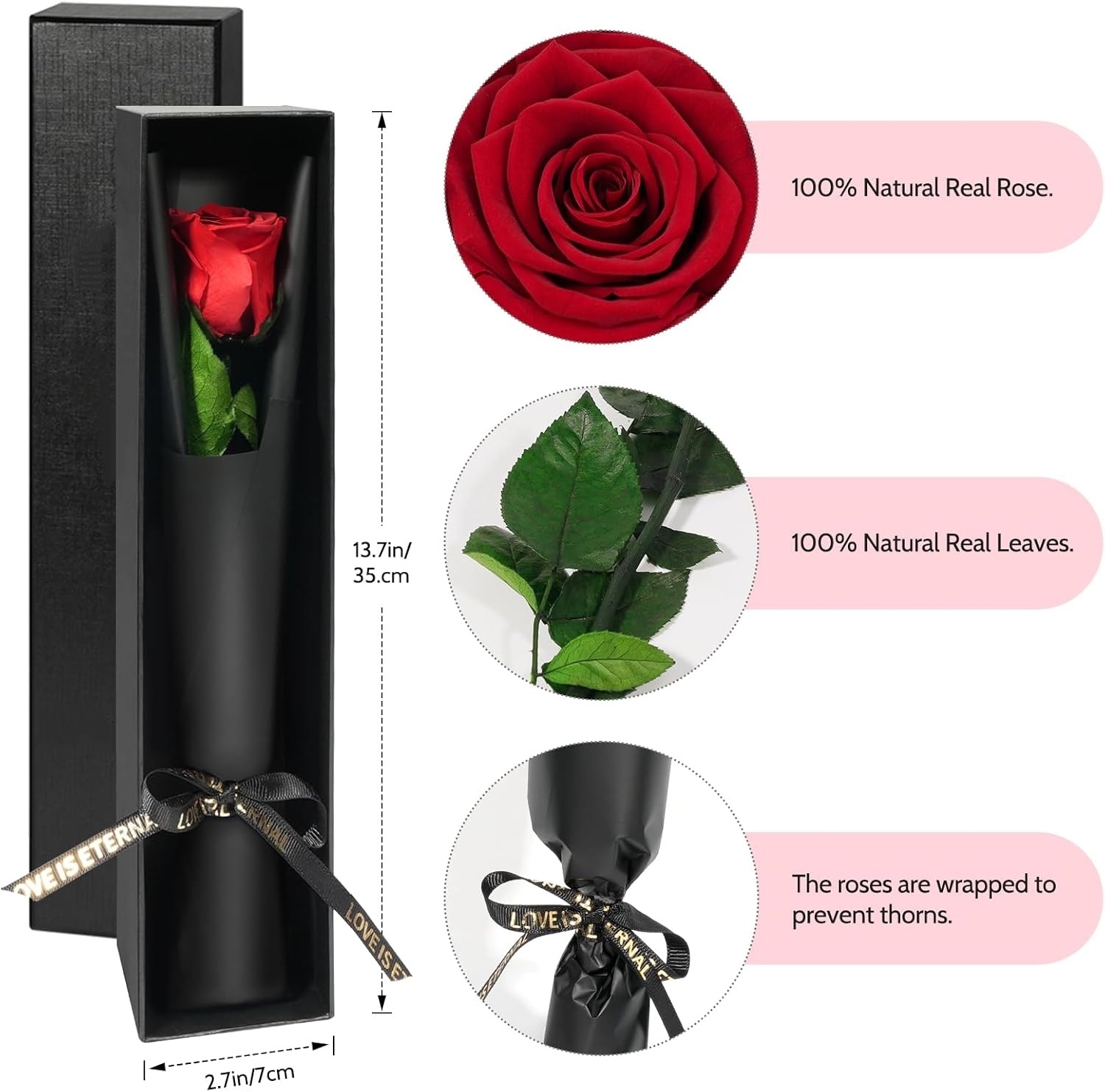 ดอกกุหลาบคงสภาพแบบก้านเดี่ยว ข - Florist Supply Bulk บทวิจารณ์และราคา