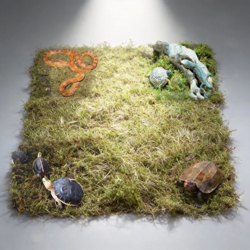 มอสแห้งธรรมชาติสำหรับปูพื้นตู้ - Preserved Moss Sheet บทวิจารณ์และราคา